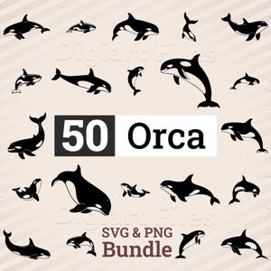 May include: A collection of 50 black and white orca whale illustrations in various poses. The word "50 Orca" is displayed in a white rectangle. The words "SVG & PNG Bundle" are at the bottom.