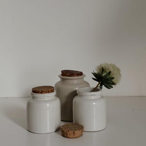 Puede incluir: Tres tarros de cerámica con tapones de corcho. Dos son blancos, uno beige. Una pequeña flor blanca con hojas verdes está en un tarro. Los tarros están sobre una superficie blanca.