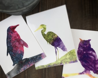 Majestic Birds Note Cards, Set of 6