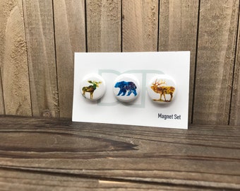 Wildlife Magnets, Set of 3