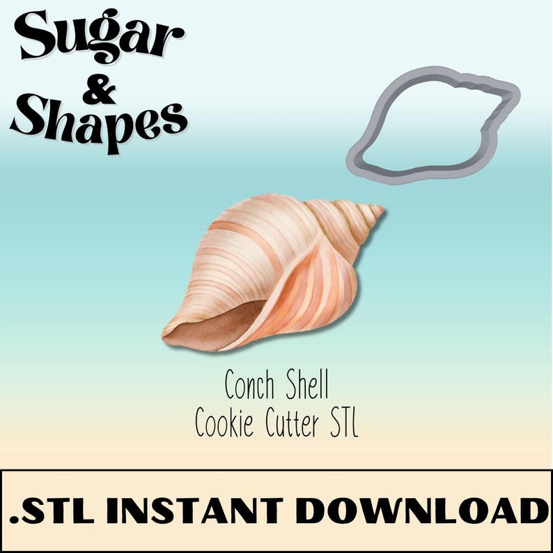 Conch Shell Cookie Cutter STL File: Beach Vacation Baking (digital ...