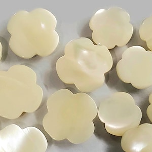 Può includere: Una collezione di bottoni a forma di fiore in madreperla bianca iridescente.