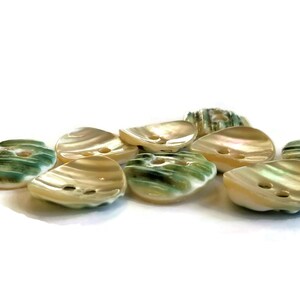Scarce Green Snail Vintage Buttons, Nice Quality Natural Mother of ...