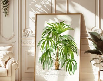 Póster vintage de palmera, lámina artística botánica