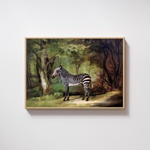 Vintage Zebra Art Print: 1763 Wildlife Painting by George Stubbs