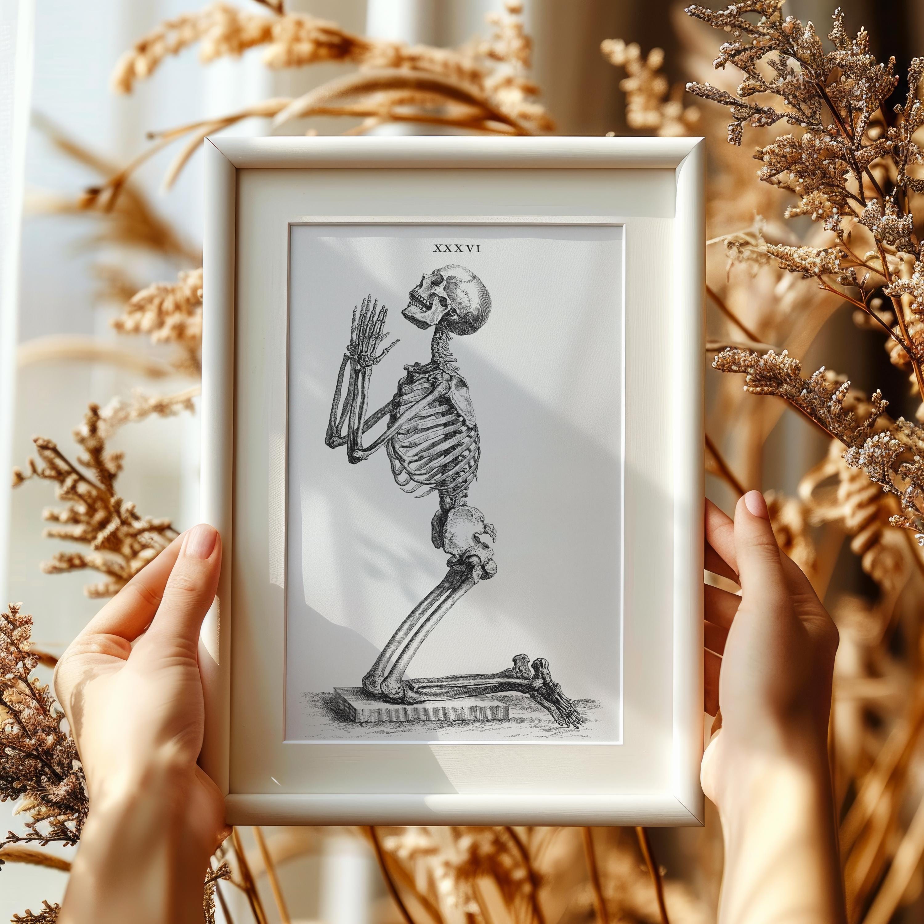 Vintage Kneeling Skeleton Poster, Anatomy Drawing Art Print - Etsy