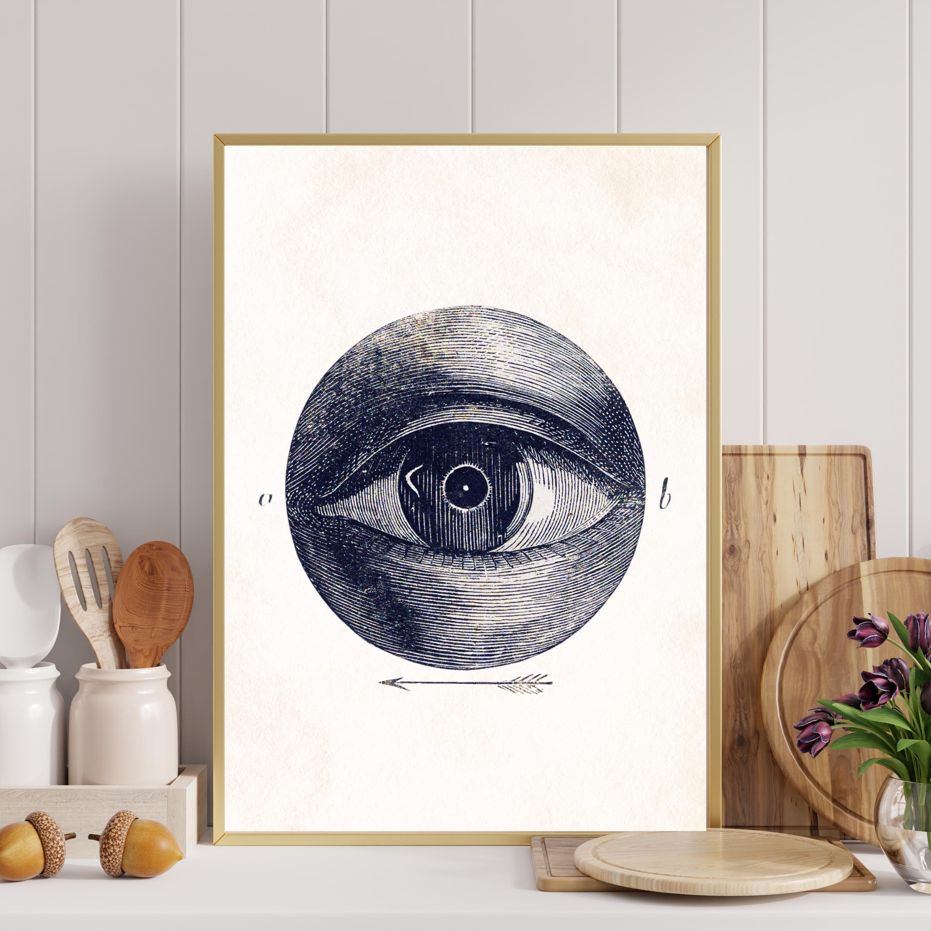 ヴィンテージの眼球解剖学プリント：アイザック・ワイセンブルッフの