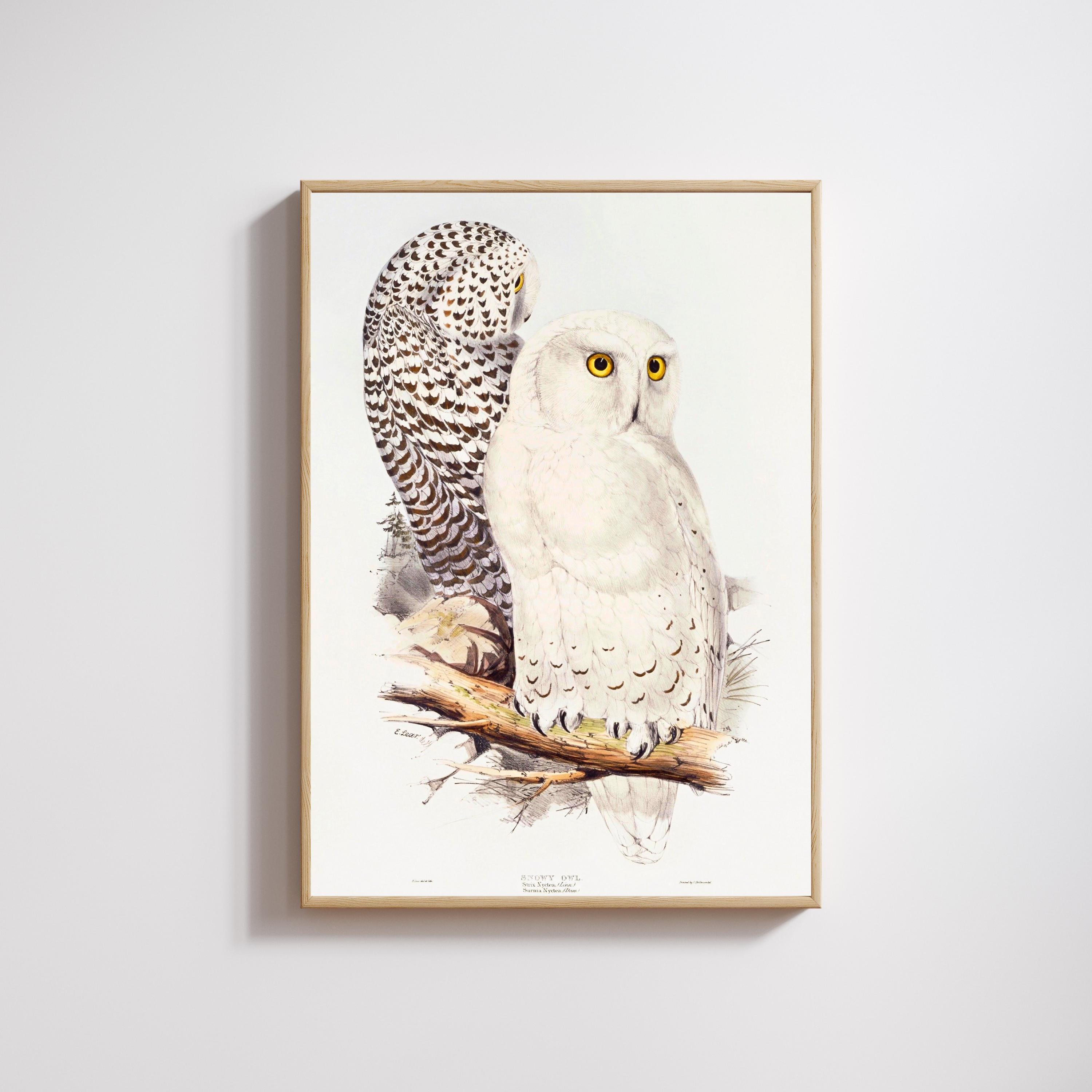 Vintage Snowy Owl Art Print, White Owl Poster - Etsy