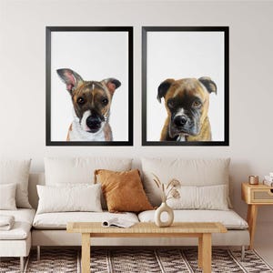 Puede incluir: Dos ilustraciones enmarcadas de perros. La ilustración de la izquierda es de un perro marrón y blanco con ojos negros. La ilustración de la derecha es de un perro marrón con ojos negros.