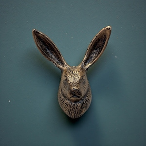 May include: A bronze-colored rabbit head sculpture with long, upright ears. The sculpture has a textured surface and is mounted on a teal-colored wall. The rabbit head is a decorative item.