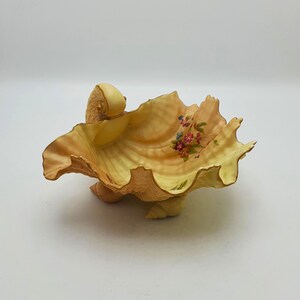 Royal Worcester Blush Elfenbensfärgad snäckskål med förgylld kant och blommönster – 1900