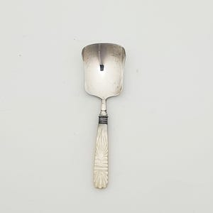 Pretty Antique Georgian Caddy Spoon 1829 – Silver Bowl & Mother of Pearl Handle Tea Scoop