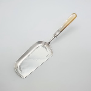 Antique Silver Plated Crumb Scoop with Mother of Pearl Handle | Vintage 1920s Tableware | Elegant Dining Accessory