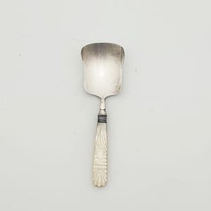 Pretty Antique Georgian Caddy Spoon 1829 – Silver Bowl & Mother of Pearl Handle Tea Scoop