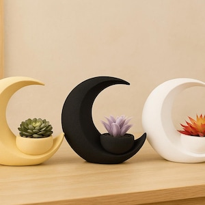 Crescent Moon Sukkulenten Pflanzer | Dekoratives Kunstpflanzen-Arrangement | Modernes Wohn- & Bürodekor