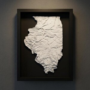 3D-muurkunst kaart Illinois: topografie in zwarte houten lijst