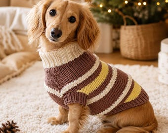 Suéter para perro salchicha hecho a mano: ropa de invierno cómoda y a medida para cachorros.