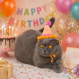 Può includere: Un gatto grigio con un cappello da festa con dettagli arancioni, rosa e gialli. Il gatto è sdraiato davanti a una torta di compleanno, palloncini e un cartello con la scritta "Happy Birthday!"