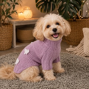 Può includere: Un maglione per cani in maglia color viola chiaro con collo alto a coste e piccole applicazioni a forma di farfalla bianca all'uncinetto sul dorso. Il capo è indossato da un piccolo cane dal pelo chiaro e soffice con orecchie pendenti.