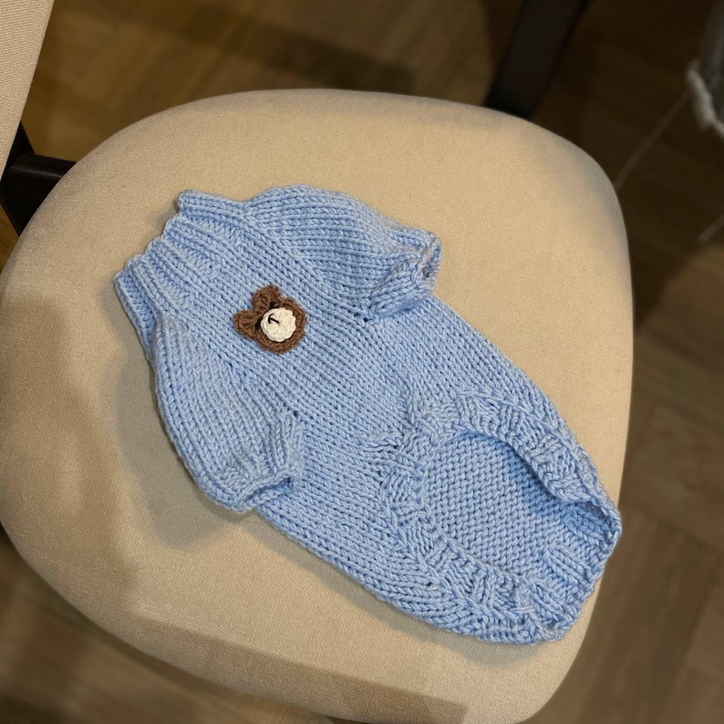 Puede incluir: Un su&eacute;ter para perro de punto azul claro con un motivo de oso marr&oacute;n y blanco. El su&eacute;ter tiene cuello y mangas de canal&eacute;, y un patr&oacute;n decorativo a lo largo de la parte inferior de la espalda. El su&eacute;ter para perro est&aacute; dise&ntilde;ado para un perro peque&ntilde;o.
