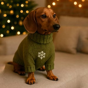 Pu&ograve; includere: Un bassotto marrone indossa un maglione a collo alto in maglia verde oliva con un disegno di fiocco di neve bianco ricamato sul petto. Il maglione presenta polsini a coste sul collo e sulle maniche per una vestibilit&agrave; aderente.