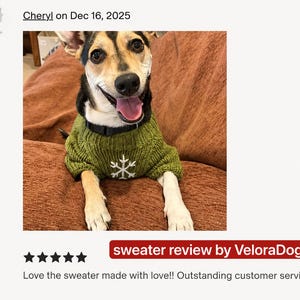 Pu&ograve; includere: Un cane di piccola taglia con pelo nero, marrone chiaro e bianco indossa un maglione in maglia a coste verde oliva con un disegno a fiocco di neve bianco ricamato sul petto. Il cane ha un collare nero e guarda avanti con la bocca aperta.