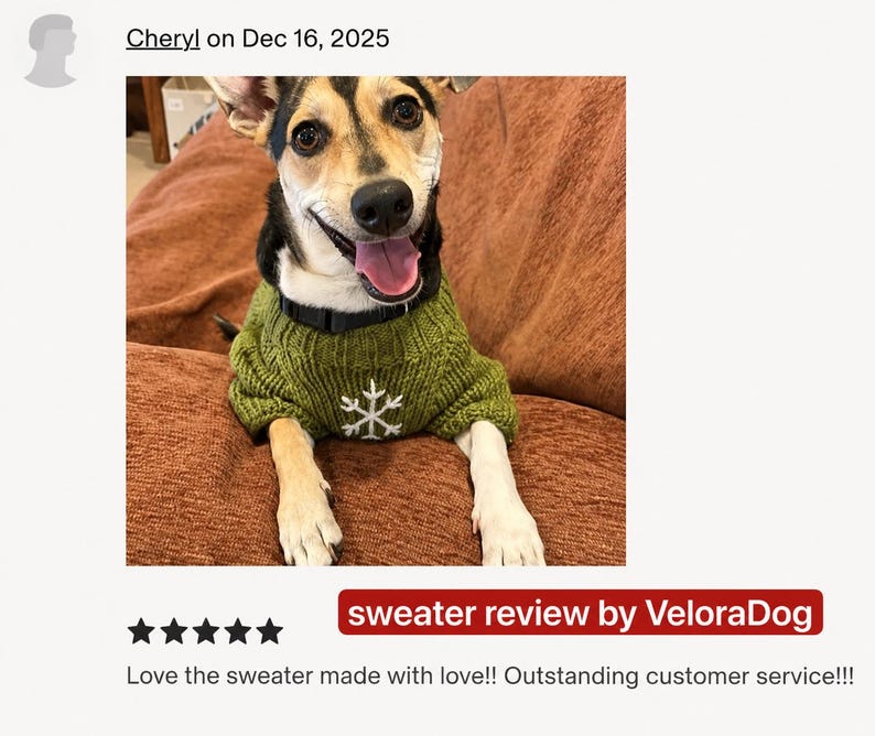 Pu&ograve; includere: Un cane di piccola taglia con pelo nero, marrone chiaro e bianco indossa un maglione in maglia a coste verde oliva con un disegno a fiocco di neve bianco ricamato sul petto. Il cane ha un collare nero e guarda avanti con la bocca aperta.