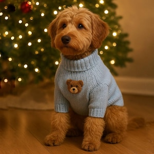 Puede incluir: Un perro marr&oacute;n dorado con un su&eacute;ter azul claro de cuello alto con un parche de oso de peluche. El perro est&aacute; sentado en un piso de madera frente a un &aacute;rbol de Navidad con luces.