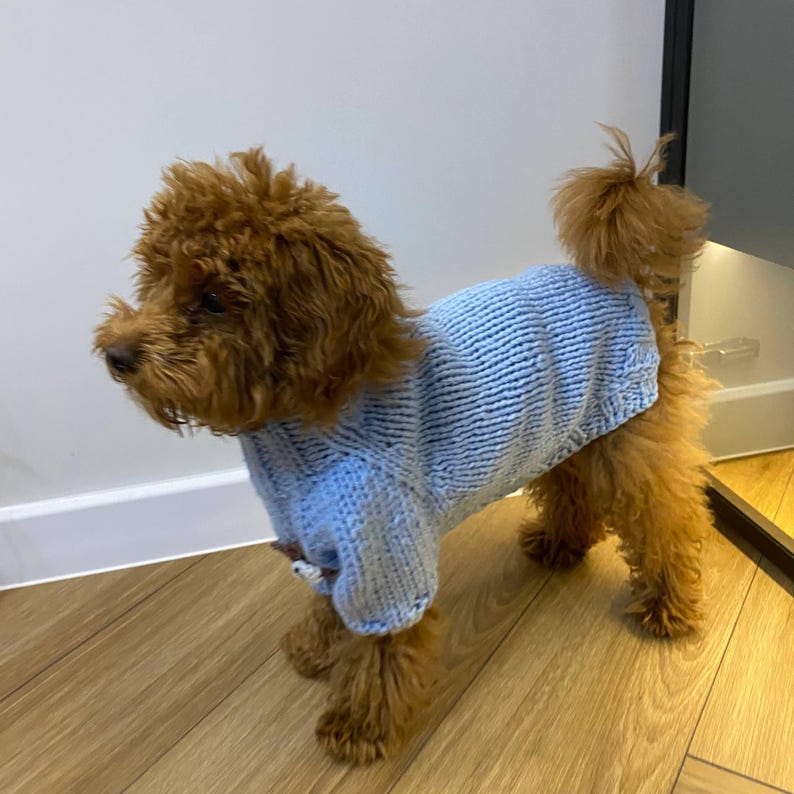 Puede incluir: Un perro peque&ntilde;o y marr&oacute;n con un su&eacute;ter de punto azul claro. El su&eacute;ter tiene una textura acanalada y cubre el cuerpo del perro. El perro est&aacute; de pie sobre un suelo de madera.