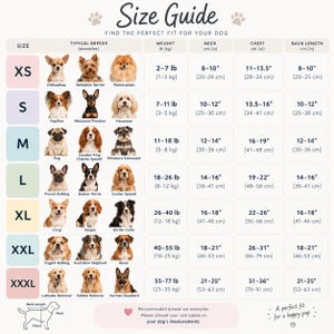 Pu&ograve; includere: Una tabella guida alle taglie per cani intitolata Size Guide con righe per le taglie dalla XS alla XXXL. Elenca razze canine tipiche, peso in libbre e chilogrammi, e misure per collo, torace e lunghezza della schiena in cm e pollici per ogni taglia.