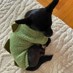 Può includere: Un piccolo cane nero indossa un maglione lavorato a maglia di colore verde chiaro. Il maglione presenta una serie di punte triangolari verde scuro lungo la schiena, che imitano il design di un dinosauro. Il cane è raggomitolato su se stesso.