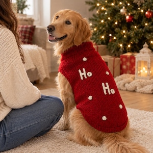 Può includere: Un cane golden retriever indossa un maglione in maglia rosso con la scritta bianca Ho Ho e piccoli dettagli a pompon bianchi. Il maglione presenta un design a collo alto e copre la schiena del cane, seduto su un tappeto chiaro.