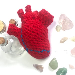 Crochet Pattern, Anatomical Heart Plush Anatomical Amigurumi image 8