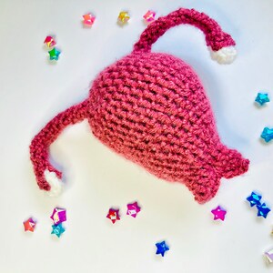 Pattern, Crochet Uterus Plush, with Fallopian Tubes and Ovaries Anatomical Amigurumi image 7