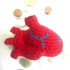 Crochet Pattern, Anatomical Heart Plush Anatomical Amigurumi image 10