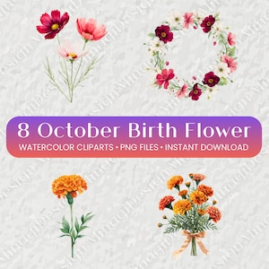 Peut inclure: Une collection numérique d'illustrations à l'aquarelle représentant des cosmos et des œillets d'Inde. L'ensemble comprend des tiges individuelles et des compositions, avec le texte 8 October Birth Flower, Watercolor Cliparts, PNG Files, Instant Download.