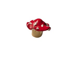 little mushroom