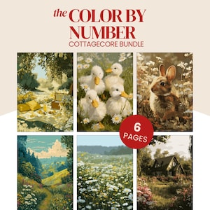 Pode incluir: Um "Colorir por Número Cottagecore Bundle" com seis páginas de ilustrações. As imagens incluem uma cena de piquenique, patinhos, um coelho, uma paisagem com um caminho, um campo de flores e uma casa de campo.