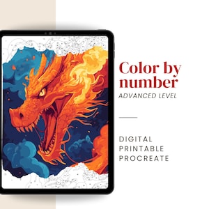 Pintura de dragón por números / Colorear por números de fantasía para adultos – Kit digital e imprimible