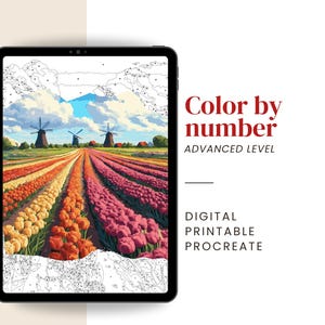 Tulpenfeld Malen nach Zahlen | Blumenlandschaft Ausmalen nach Zahlen für Erwachsene – ein digitales & printables Kit