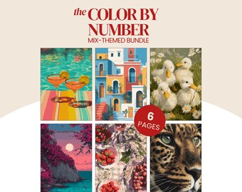 Op de afbeelding: Een kleur-op-nummer bundel met zes verschillende pagina's, de tekst "the COLOR BY NUMBER MIX-THEMED BUNDLE" en een rode ronde badge met de tekst "6 PAGES". De afbeeldingen tonen cocktails, mediterrane gebouwen, eendjes, een zonsondergang, fruit en een luipaard.