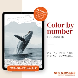 Procreate Paint by Number Kit - Humpback Whale Art | Digital Color by Numbers for Adults | Printable PBN Art | Marine Life Coloring Pages