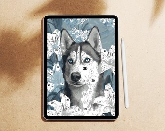 Verf op nummer voortplanten, digitale kleurplaat voor volwassenen | Portret huskyhond