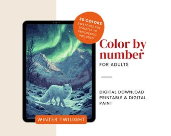 Northern Lights Paint by Number | Winter Color by Number for Adults – Digital & Printable Kit