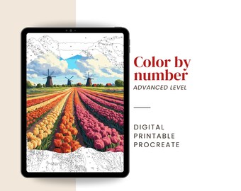 Tulip Field Color By Number | Digital & Printable Paint by Number for Adults | Procreate Template Included