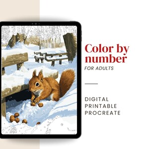Snowy Park Paint by Number | Digital & Printable (PDF,PNG,SVG, Procreate files)