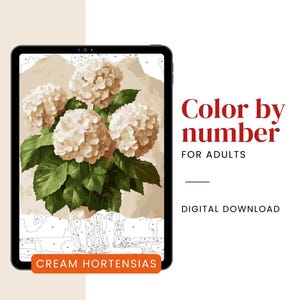 Cream Hortensias Color By Number: Difficult Floral Painting (Digital Download)