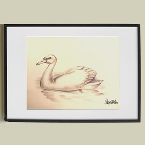 Realistische Schwan Zeichnung Poster - Wildtier Kunstdruck für Vogel Liebhaber Geschenk, Natur Dekor
