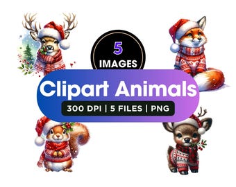 Weihnachten PNG Clipart Bundle: Ornament Designs (Digitaler Download)