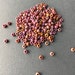 Kathryn O'Hearn reviewed 8/0 Berry AB Matte Frosted Matte Jewel Chalk Chalky Seed Bead